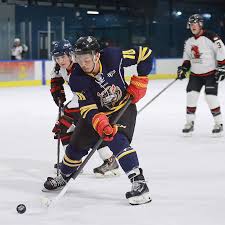 Image result for Demons Skater Hockey Club