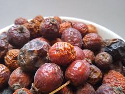 Attēlu rezultāti vaicājumam “Rosa majalis fruit”