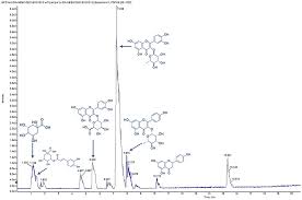 Attēlu rezultāti vaicājumam “Oligonema affine macro”