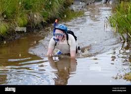 Image result for Bog Snorkelling Championships
