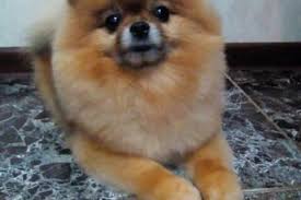 Image result for site:buyreklama.ru/*