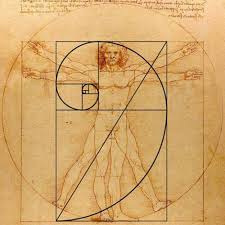 Image result for numero aureo