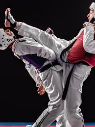 Image result for Red Dragon Taekwondo club