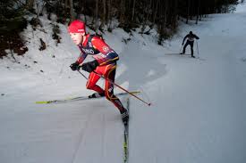 Image result for Tyneside Loipers