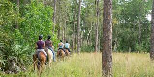 Image result for Shey Copse Riding Centre