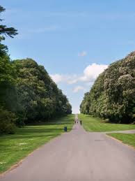 Image result for Cirencester Park Polo Club