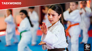 Image result for Full Element Mixed Martial Arts