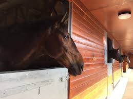 Image result for Lower Farm Stables