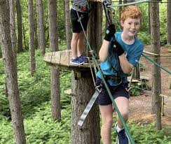 Image result for The Go Ape Experience (Delamere Forest)