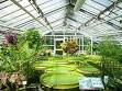 Botanical garden - Wikipedia, the free encyclopedia