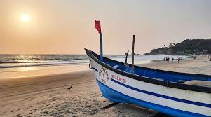 Image result for goa beaches