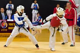 Image result for IXL Martial Arts