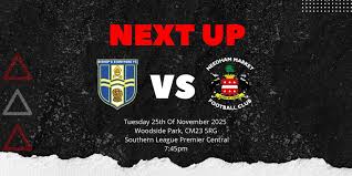 Image result for Needham Market Football Club