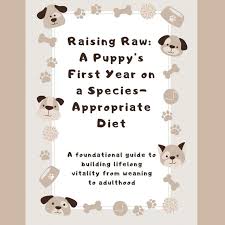 Image result for apupy