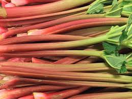 Attēlu rezultāti vaicājumam “Rheum rhabarbarum fruit”