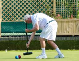 Image result for Croquet In Pendle