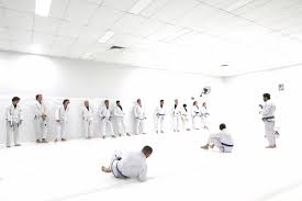 Image result for Springwood Karate