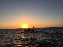 Image result for Isle of Man Swimming Club