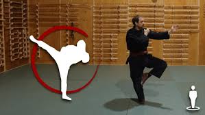 Image result for Bridge Hall Bujinkan Dojo