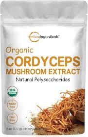 Attēlu rezultāti vaicājumam “Cordyceps”