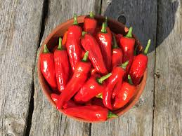 Afbeeldingsresultaat voor red fratali hot pepper