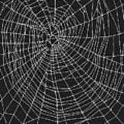 Image result for web patterns