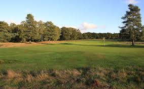 Image result for Walton Heath Golf Club