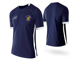 Image result for Yelverton Bohemians Cricket Club