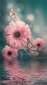 Image result for free wallpaper