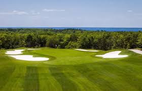 Image result for Falmouth and Helston Octopush Club