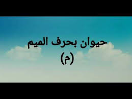 Image result for ‫بلاد م%‬‎