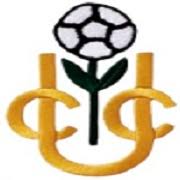 Image result for Undercliffe Cricket Club