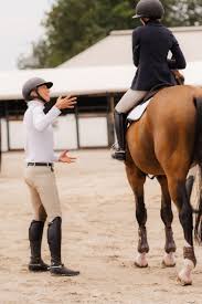 Image result for Annandale Equestrian Centre