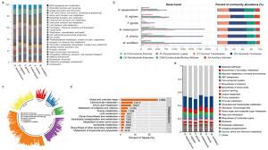 Attēlu rezultāti vaicājumam “Badhamia melanospora stalked”