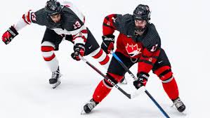 Image result for Pontypool Skater Hockey Club