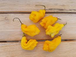 Afbeeldingsresultaat voor mme jeanette hot pepper