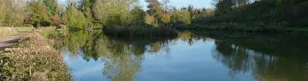 Image result for Bathampton Angling Association