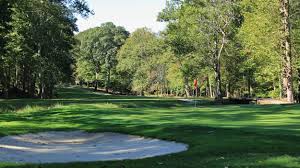 Image result for City Of Preston Gc