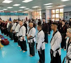 Image result for Chang's Hapkido Club