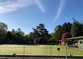 Image result for Hayes Bowls Club (Botwell)