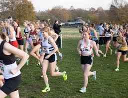 Image result for Croydon Harriers