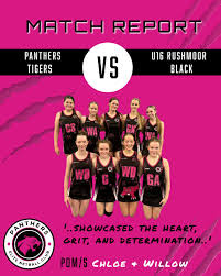 Image result for Ecs Predators Netball Club