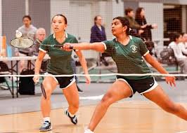 Image result for Link Ladies Badminton Club