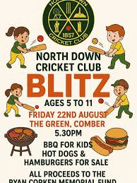 Image result for North Down Cricket Club