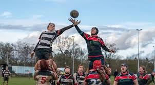 Image result for Harpenden Rugby Football Club