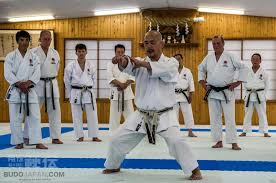 Image result for Shotokan Karate