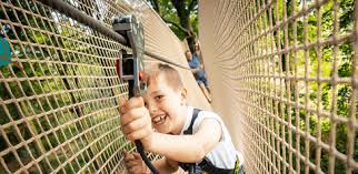 Image result for Go Ape! Dalby