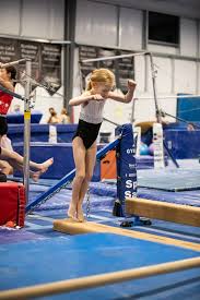 Image result for Valiant Gymnastics Club