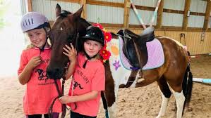 Image result for Annandale Equestrian Centre