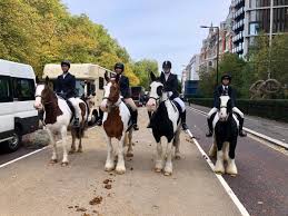Image result for Civil Service Riding Club (Csrc)